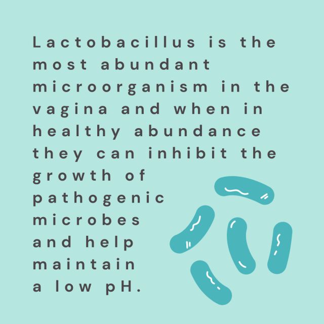 Lactobacilli are the most frequently identified microorganisms in the healthy human vagina. These Gram-positive bacilli can acidify the vaginal microenvironment, inhibit the proliferation of other pathogenic microorganisms, and promote the maintenance of a eubiotic vaginal microbiome.